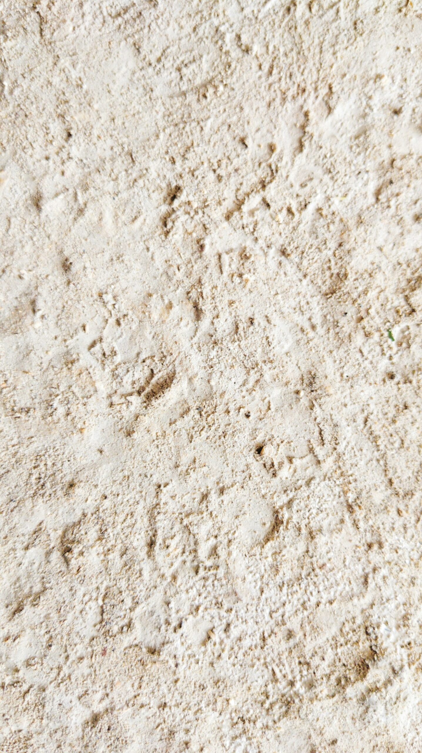 From Portugal to Site: Moca Cream Tiles